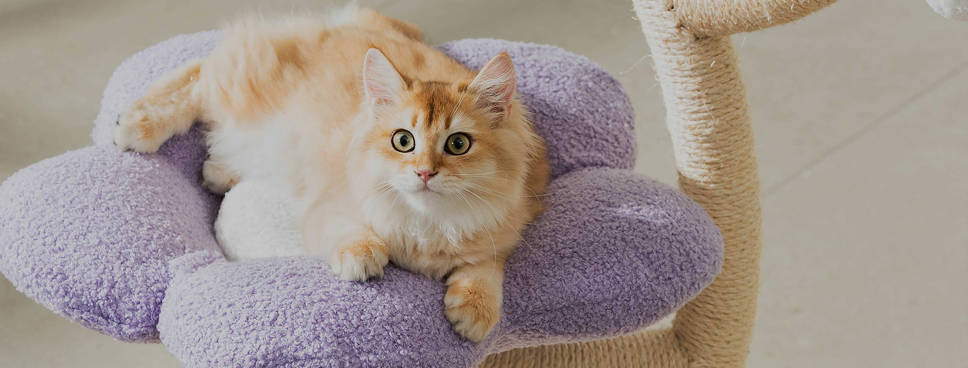 Fabricant d'arbres à chat